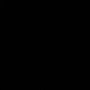 Meet your Posher, Dylan